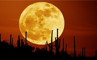 Siêu Mặt Trăng lớn nhất thế kỷ chiếu sáng bầu trời Việt Nam ngày 14/11