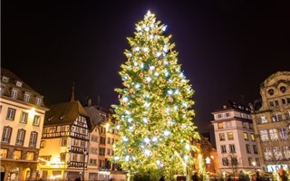 Chiêm ngưỡng những cây thông Noel đẹp nhất thế giới năm 2016