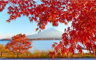 Những điểm du lịch tuyệt đẹp của Nhật Bản khi vào thu