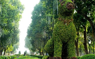 Mừng Tết Mậu Tuất công viên Thống Nhất tại Hà Nội trưng bày 12 con giáp khổng lồ