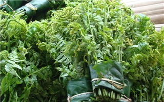 Các loại rau trường thọ được thế giới ca ngợi có nhan nhản ở Việt Nam