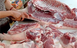 100% mẫu thịt gia súc, gia cầm nhiễm vi khuẩn gây hại đường ruột
