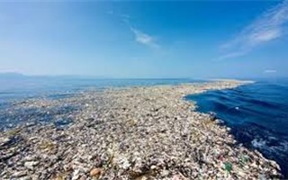 Thái Bình Dương đang ngập ngụa trong đảo rác của nhân loại