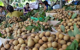Chỉ có 5 loại trái cây tươi của Việt Nam xuất khẩu vào Mỹ