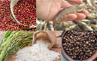 Đề xuất 15 sản phẩm nông nghiệp chủ lực quốc gia
