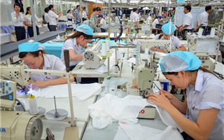TP.Hồ Chí Minh: Phổ biến chế độ, chính sách, pháp luật về BHTN cho người sử dụng lao động