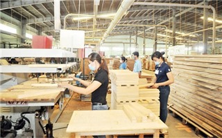 Trong 11 tháng, xuất khẩu gỗ và sản phẩm gỗ đạt 8,2 tỷ USD