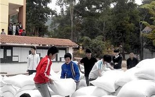 Xuất cấp gạo cho 3 tỉnh dịp Tết Nguyên đán
