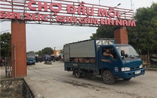 “Đệ nhất chợ lợn" ở Hà Nam