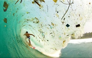 15 bức ảnh khiến bạn giật mình sợ hãi vì tác hại kinh khủng của đồ nhựa với môi trường