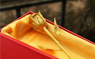 Quà tặng 20/10 bắt đầu sôi động, nhiều người chi cả triệu đồng tặng bạn gái hoa hồng mạ vàng