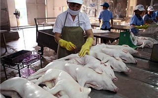 Ngăn chặn buôn lậu, vận chuyển, kinh doanh lợn, sản phẩm từ lợn không rõ nguồn gốc