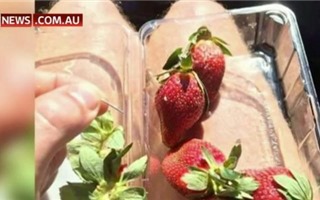 Hơn 100 lần phát hiện kim khâu trong hoa quả khiến nước Úc chao đảo