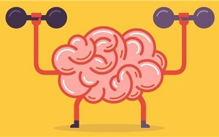 Những sở thích giúp bạn rèn luyện bộ não