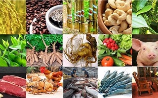 Công bố 13 sản phẩm nông nghiệp chủ lực quốc gia
