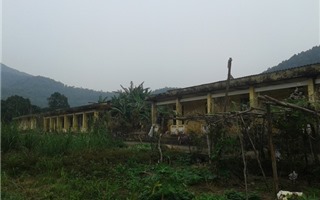 Tết lặng lẽ của những mảnh đời cuối cùng ở trại phong bỏ hoang tại Hà Nội