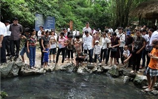 Suối cá thần Cẩm Lương - Danh thắng độc nhất vô nhị Việt Nam