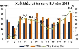 Tăng sức cạnh tranh của cá tra tại thị trường EU