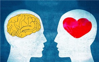 Làm sao để phát triến trí thông minh cảm xúc trong bạn? (P2: Kết nối với người khác)
