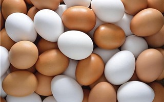 Hạn ngạch thuế quan nhập khẩu với muối, trứng gia cầm năm 2019