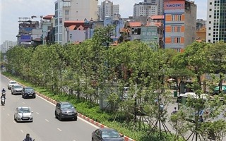 Nhiều giải pháp cải thiện môi trường không khí ở Thủ đô