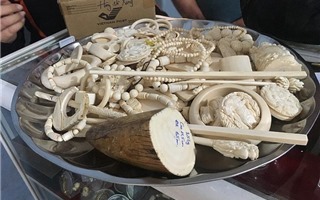 Phát hiện nhiều sản phẩm nghi chế tác từ ngà voi buôn lậu qua sân bay Nội Bài