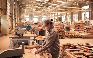 Việt Nam tăng cường kiểm soát nguồn gỗ nhập khẩu