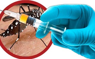 Hoàn tất nghiên cứu vắc xin sốt xuất huyết tại Việt Nam