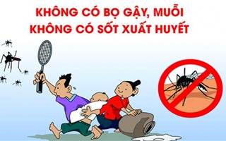 Hơn 1.800 ca mắc sốt xuất huyết, Hà Nội thành lập đội đặc nhiệm chống dịch