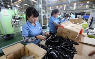 Doanh nghiệp Việt phải xây dựng nhãn hiệu sản phẩm riêng mới đủ sức cạnh tranh toàn cầu