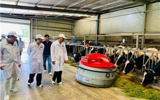 "Resort" bò sữa Tây Ninh là hạt nhân để xây dựng vùng chăn nuôi bò sữa an toàn dịch bệnh