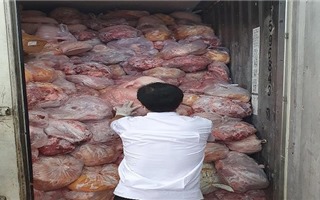 Phát hiện 40 tấn thịt nhiễm dịch tả heo châu Phi trong cơ sở sản xuất giò chả