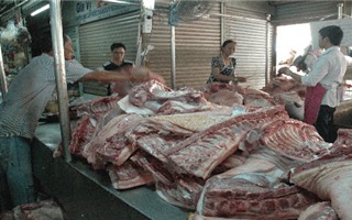 Phát hiện thịt lợn có chất cấm gây tiêu chảy tại Hà Nội