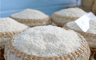Kinh nghiệm chọn gạo nếp ngon, an toàn