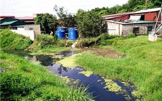 Ninh Bình: Công ty Việt Xanh "đầu độc" môi trường, xử phạt 361 triệu đồng