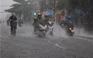 Hà Nội: Triển khai ứng phó với các tình huống thiên tai trong mùa mưa bão năm 2019