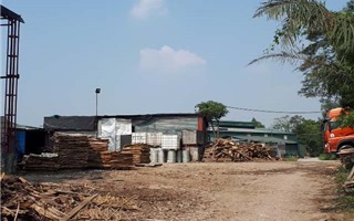 Xã Mai Lâm, huyện Đông Anh: Chưa xử lý dứt điểm tình trạng ô nhiễm môi trường