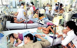 Lần đầu tiên có hệ thống cảnh báo sớm dịch sốt xuất huyết trước 8 tháng tại Việt Nam