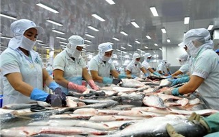 Thuế chống bán phá giá với cá tra của Việt Nam đã được điều chỉnh giảm