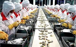 Hoa Kỳ là thị trường xuất khẩu lớn nhất của Việt Nam với kim ngạch đạt 17,8 tỷ USD