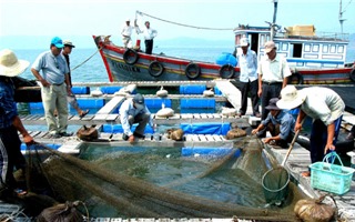 Xuất khẩu sản phẩm nuôi biển hướng tới mục tiêu 1,5 tỷ USD