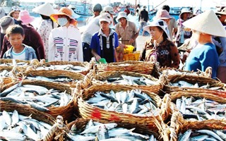 Trung Quốc “nới lỏng” chính sách nhập khẩu cho 33 mặt hàng thủy sản Việt Nam