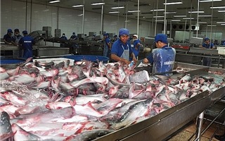 Thị trường Hàn Quốc còn xa lạ với cá tra Việt Nam