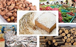 Những mặt hàng nông sản xuất khẩu chủ lực của Việt Nam