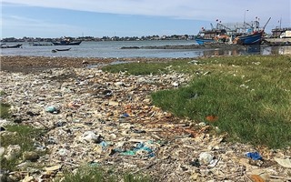 Chủ tịch tỉnh Thừa Thiên-Huế chỉ đạo xử lý ô nhiễm cảng cá Thuận An