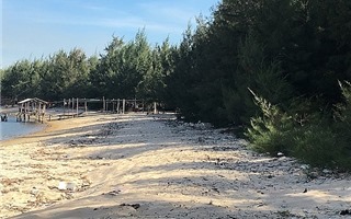 Thừa Thiên - Huế: Rác thải bủa vây bãi biển Hải Dương