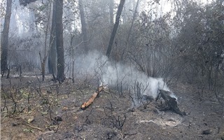 Hỗ trợ người dân khắc phục hậu quả do cháy rừng tại các tỉnh miền Trung