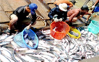 Nông lâm thủy sản có mức tăng trưởng giảm mạnh