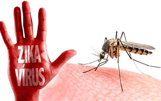 Virus Zika đã lây lan tới 70 quốc gia và vùng lãnh thổ