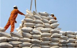 Việt Nam xuất khẩu 368 nghìn tấn gạo trong tháng 10